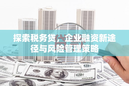 南投探索税务贷，企业融资新途径与风险管理策略