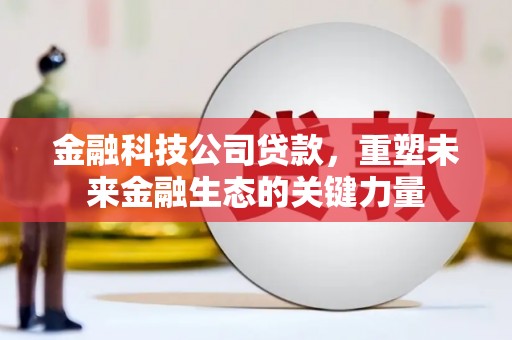 南投金融科技公司贷款，重塑未来金融生态的关键力量