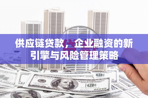 南投供应链贷款，企业融资的新引擎与风险管理策略