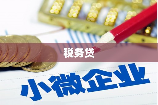 南投税务贷
