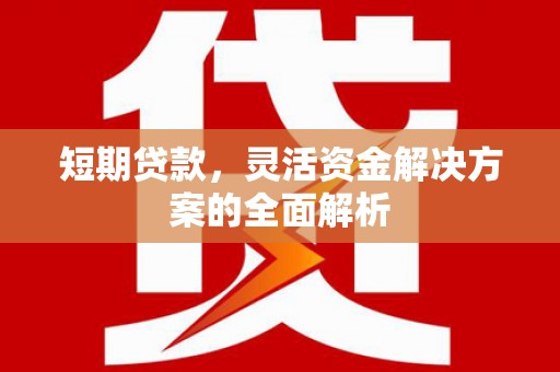 南投短期贷款，灵活资金解决方案的全面解析