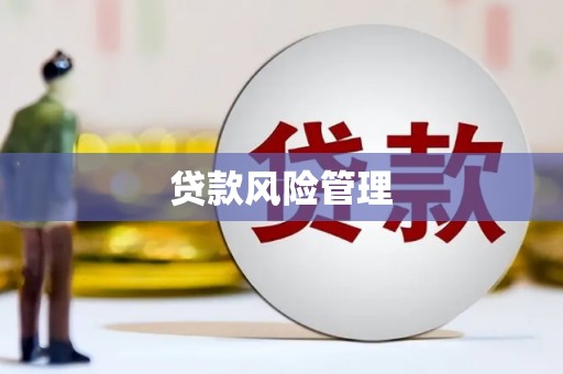 南投贷款风险管理