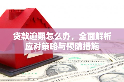 南投贷款逾期怎么办，全面解析应对策略与预防措施
