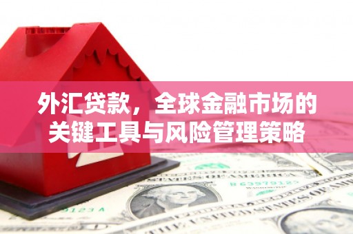 南投外汇贷款，全球金融市场的关键工具与风险管理策略