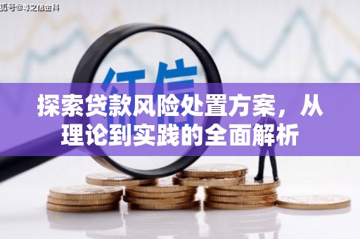 南投探索贷款风险处置方案，从理论到实践的全面解析