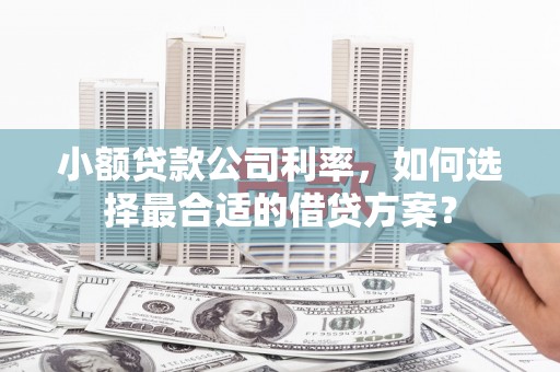 南投小额贷款公司利率，如何选择最合适的借贷方案？
