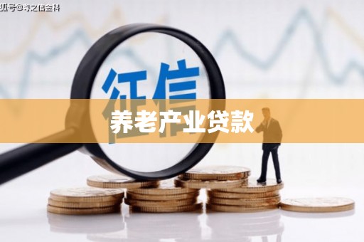 南投养老产业贷款