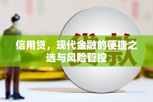 南投信用贷，现代金融的便捷之选与风险管控