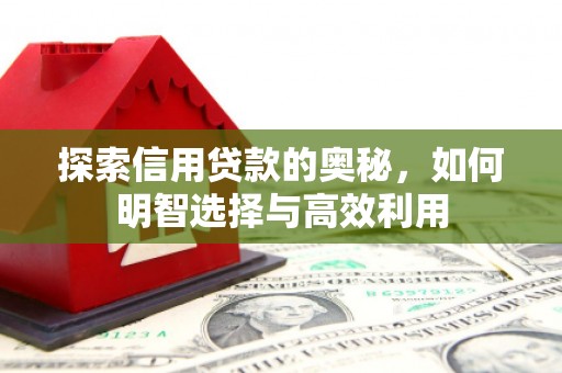 南投探索信用贷款的奥秘，如何明智选择与高效利用