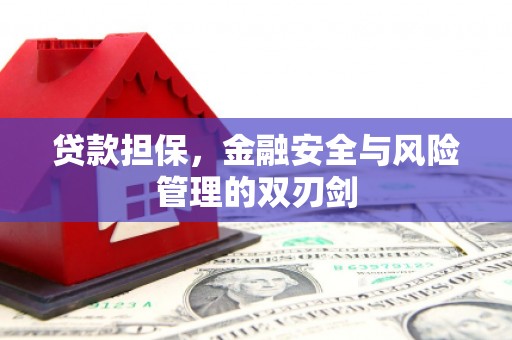 南投贷款担保，金融安全与风险管理的双刃剑