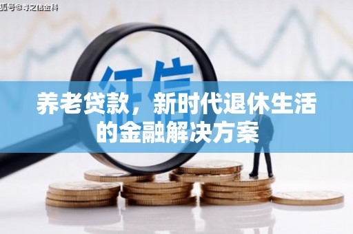 南投养老贷款，新时代退休生活的金融解决方案
