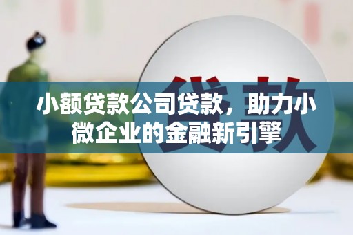 南投小额贷款公司贷款，助力小微企业的金融新引擎