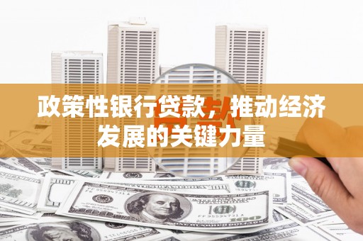 南投政策性银行贷款，推动经济发展的关键力量
