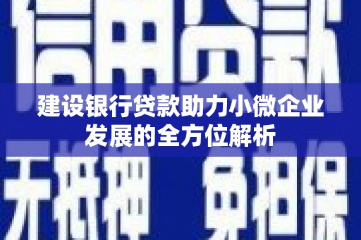 南投建设银行贷款助力小微企业发展的全方位解析