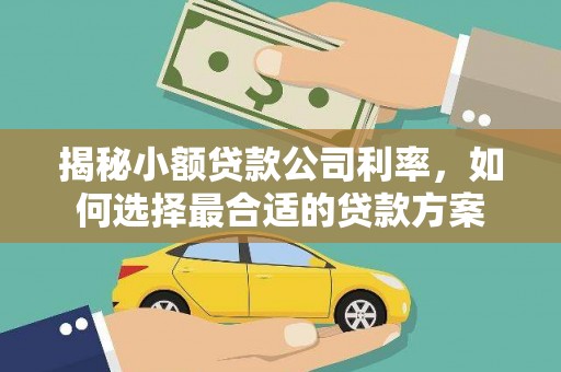 南投揭秘小额贷款公司利率，如何选择最合适的贷款方案