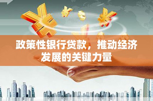 南投政策性银行贷款，推动经济发展的关键力量