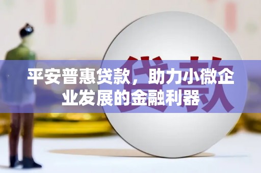 南投平安普惠贷款，助力小微企业发展的金融利器
