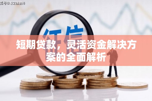 南投短期贷款，灵活资金解决方案的全面解析