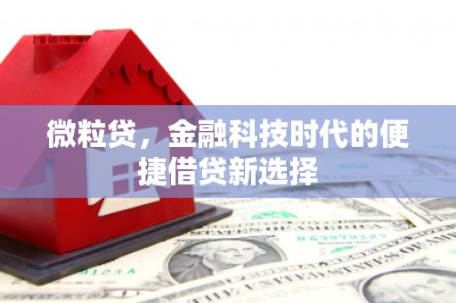 南投微粒贷，金融科技时代的便捷借贷新选择