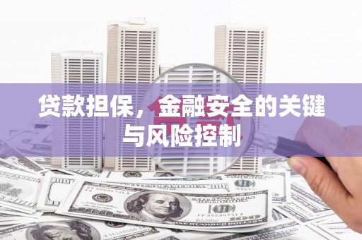 南投贷款担保，金融安全的关键与风险控制