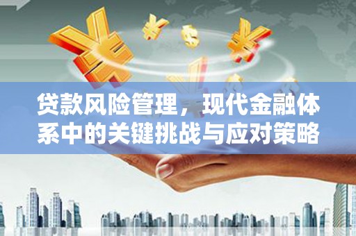 南投贷款风险管理，现代金融体系中的关键挑战与应对策略