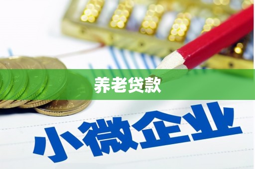 南投养老贷款