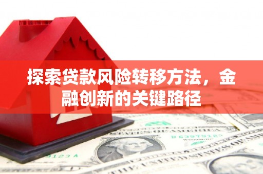 南投探索贷款风险转移方法，金融创新的关键路径