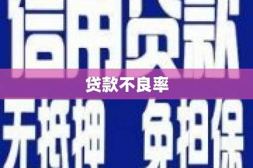 南投贷款不良率