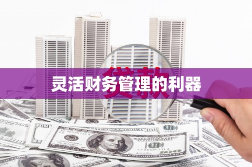 南投灵活财务管理的利器