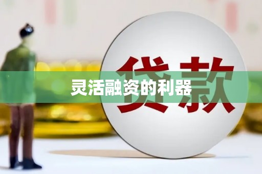 南投灵活融资的利器
