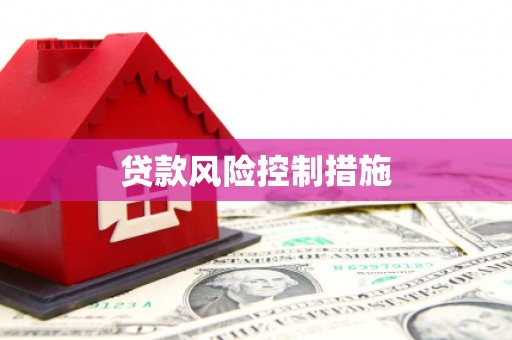 南投贷款风险控制措施