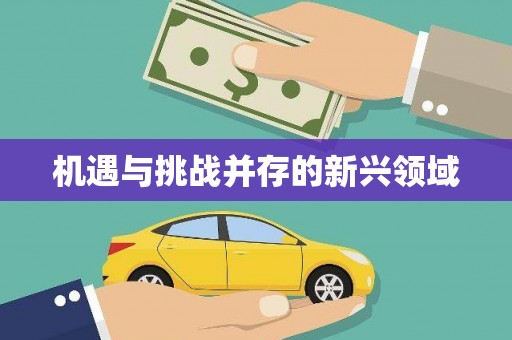 南投机遇与挑战并存的新兴领域