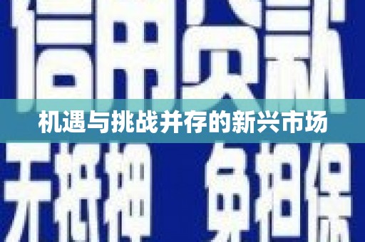 南投机遇与挑战并存的新兴市场