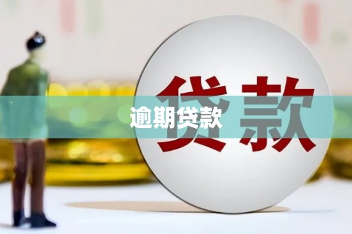 南投逾期贷款