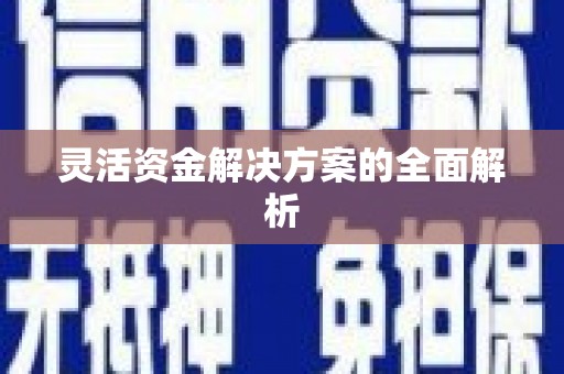 南投灵活资金解决方案的全面解析