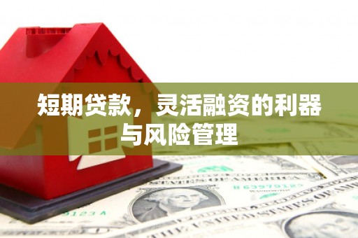 南投短期贷款，灵活融资的利器与风险管理